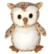 Load image into Gallery viewer, Okie Owl Buddy